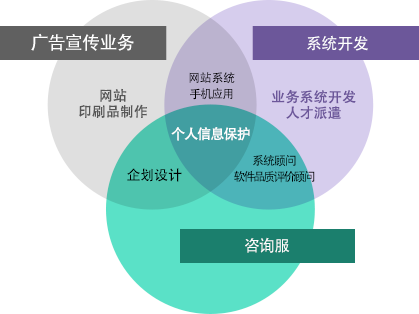 广告宣传业务 系统开发 咨询服务